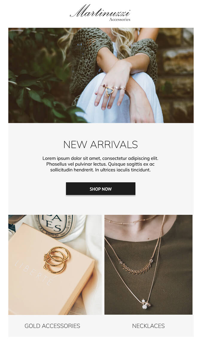 Email Design for Martinuzzi Accessories